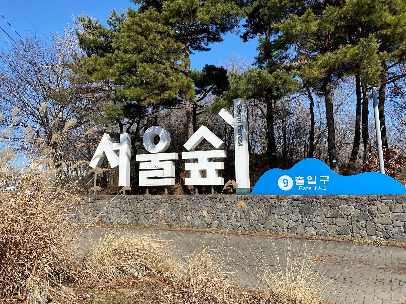 Seoul Forest