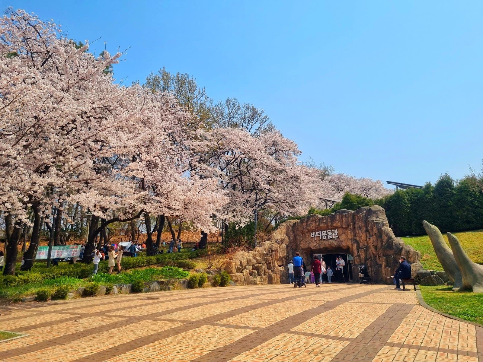 Seoul Children's Grand Park